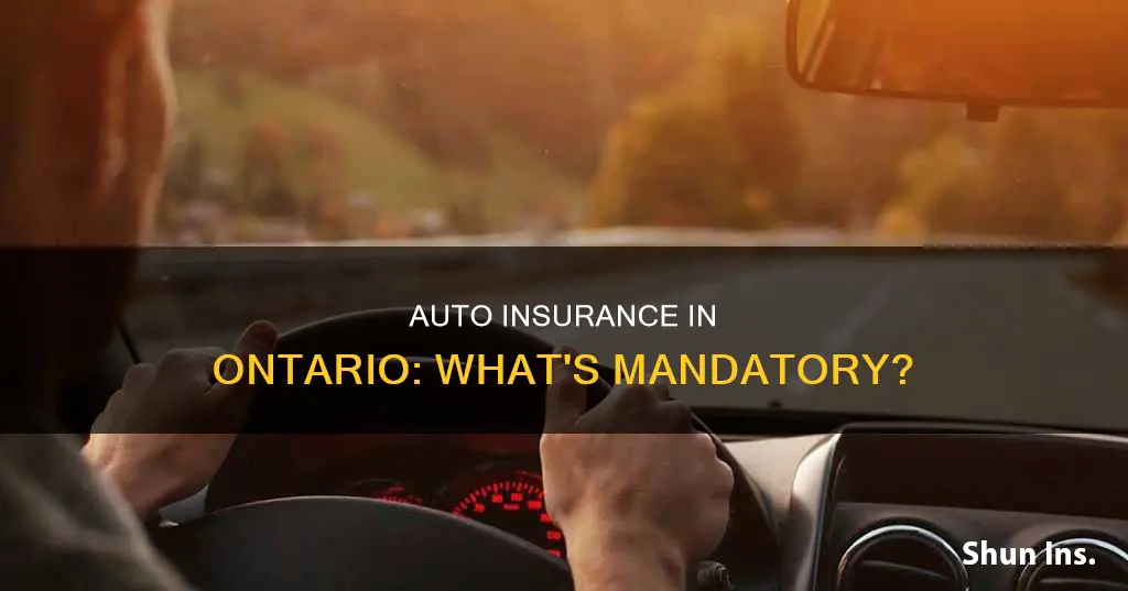 which type of auto insurance is mandatory in ontario