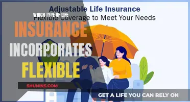 Life Insurance Flexibility: Exploring Your Customizable Options