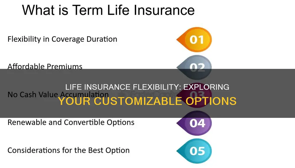 which type of life insurance incorporates flexible