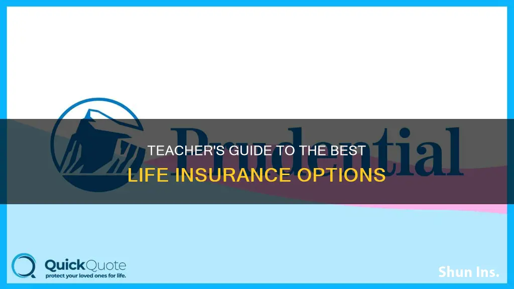 which type of life insurance is best for teachers