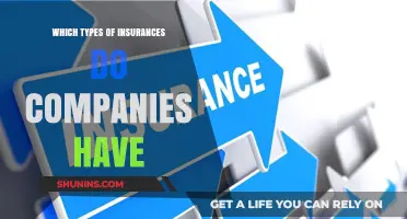 Essential Types of Insurance Every Company Should Consider for Protection