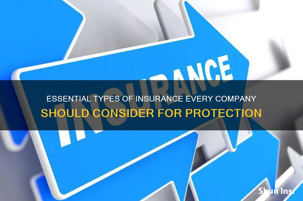 which types of insurances do companies have