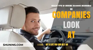 What Driving Records Do Insurance Companies Check for Coverage?
