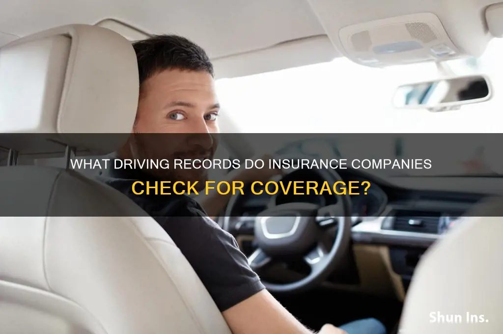 which typr of driving records insurance do companies look at