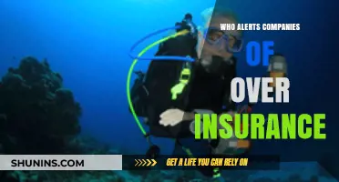 Who Alerts Companies About Over-Insurance? Key Players and Processes