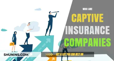 Understanding Captive Insurance Companies: Benefits, Structure, and Use Cases