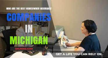 Top Michigan Homeowner Insurance Companies: A Comprehensive Guide