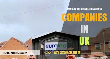 Top UK Insurance Giants: Leading Companies Dominating the Market