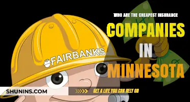 Discover Minnesota's Most Affordable Insurance Providers: Top Budget-Friendly Options