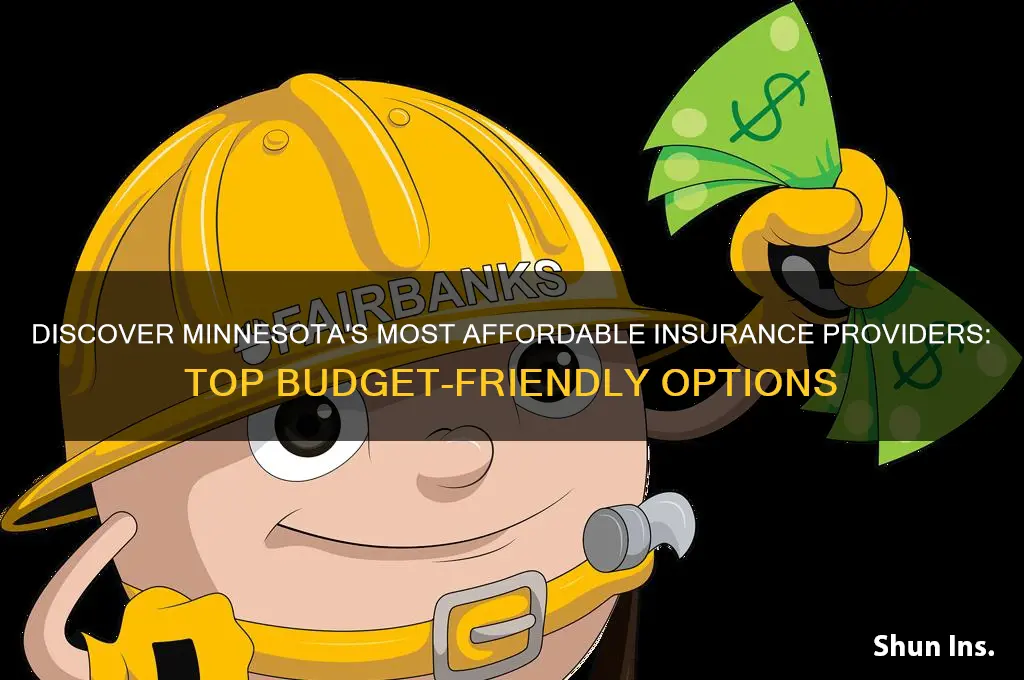 who are the cheapest insurance companies in minnesota