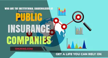 Institutional Shareholders Dominating Public Insurance Companies: A Comprehensive Overview