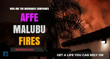 Insurance Companies Impacted by Malubu Fires: Who's Affected?