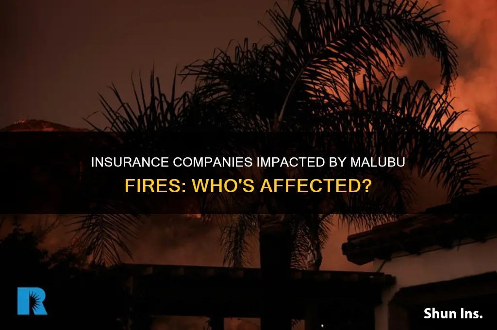 who are the insurance companies affe malubu fires