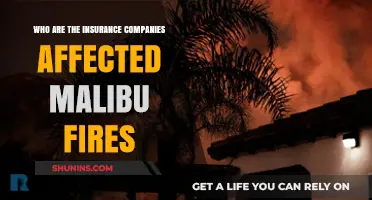 Malibu Fires Impact: Which Insurance Companies Face the Fallout?