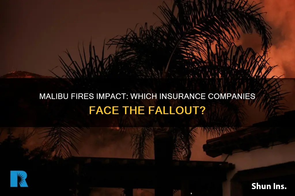 who are the insurance companies affected malibu fires