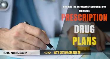 Top Insurance Providers for Medicare Prescription Drug Plans Explained