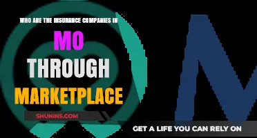 Missouri Marketplace Insurance: Top Companies to Consider for Coverage