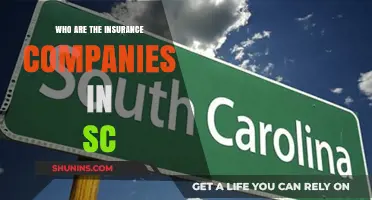 Discovering South Carolina's Top Insurance Providers: A Comprehensive Guide