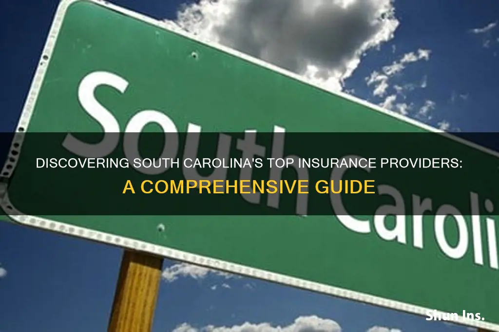 who are the insurance companies in sc