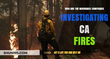 Insurance Companies Investigating California Wildfires: Who’s Behind the Claims?