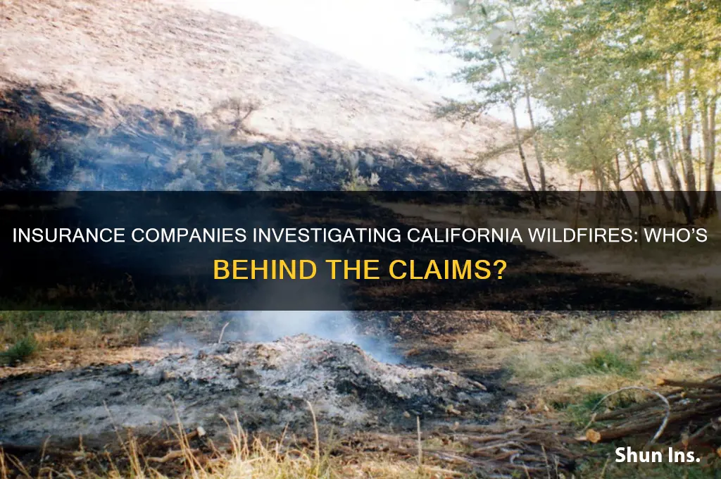 who are the insurance companies investigating ca fires