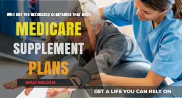 Top Insurance Providers Offering Medicare Supplement Plans: A Comprehensive Guide