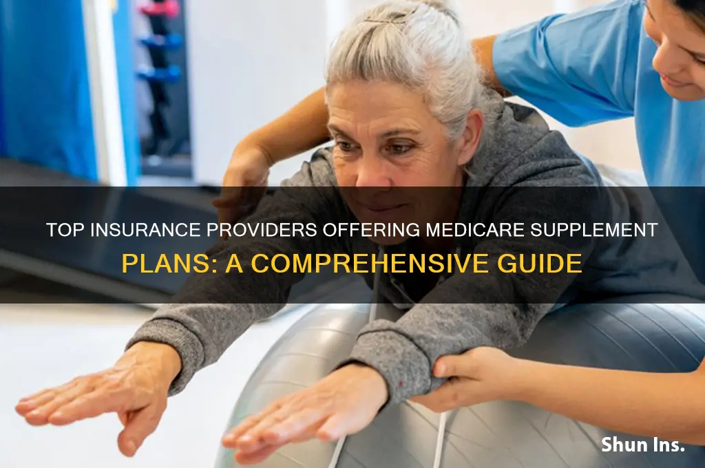 who are the insurance companies that have medicare supplement plans