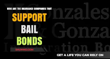 Insurance Companies Backing Bail Bonds: Key Players and Support