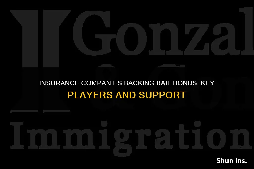 who are the insurance companies that support bail bonds