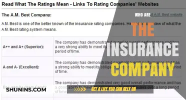 Understanding Insurance Companies: Roles, Types, and How They Operate