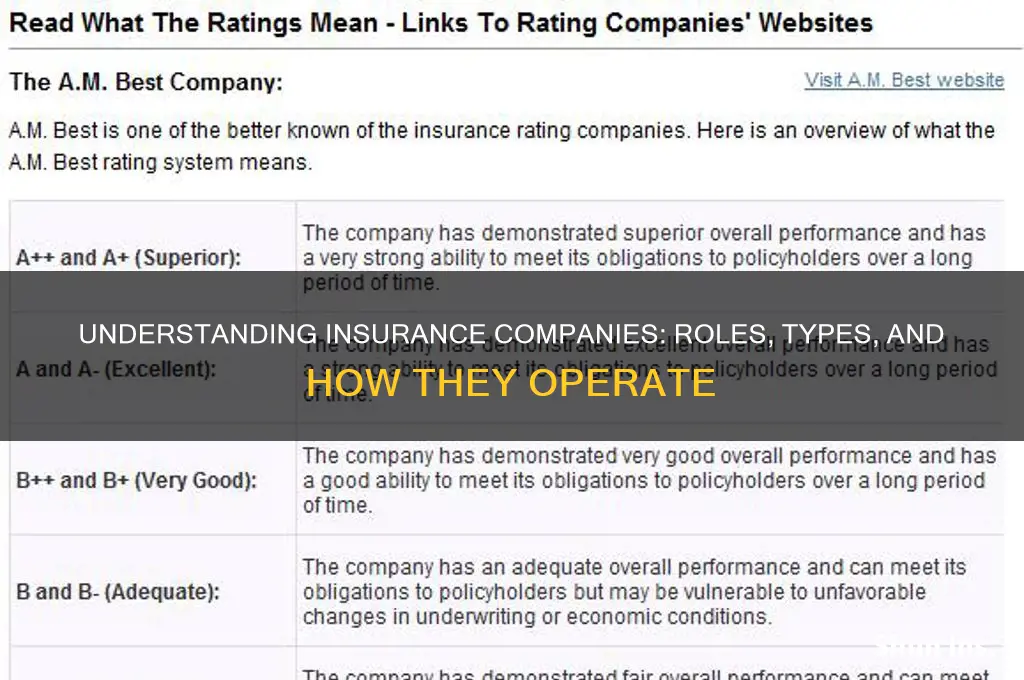 who are the insurance company