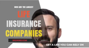 Top Life Insurance Giants: Who Dominates the Global Market?