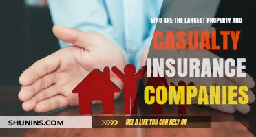 Top Property and Casualty Insurance Giants Dominating the Market Today