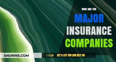 Top Insurance Giants: Leading Companies Shaping the Global Market