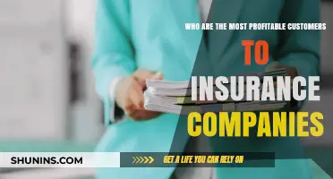 Identifying High-Value Customers: Who Drives Insurance Company Profits?