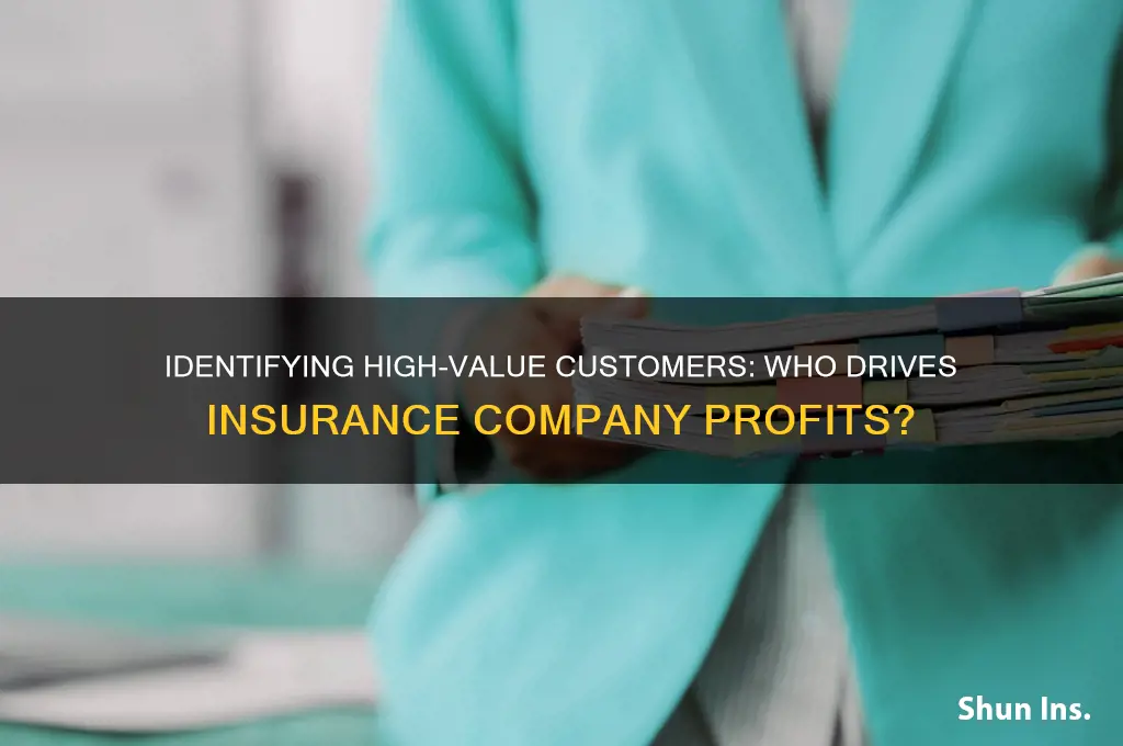 who are the most profitable customers to insurance companies