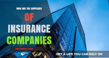 Unveiling the Key Suppliers Powering Insurance Companies' Operations