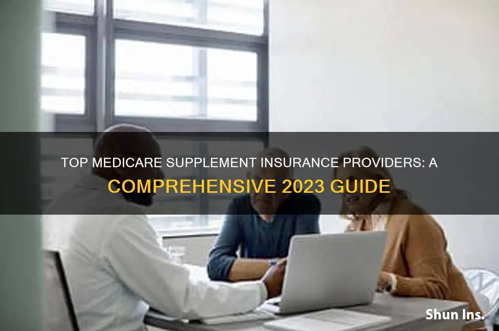 who are the top 10 medicare supplement insurance companies