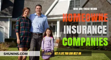 Unveiling the Oddities: Who Are These Weird Homeowner Insurance Companies?