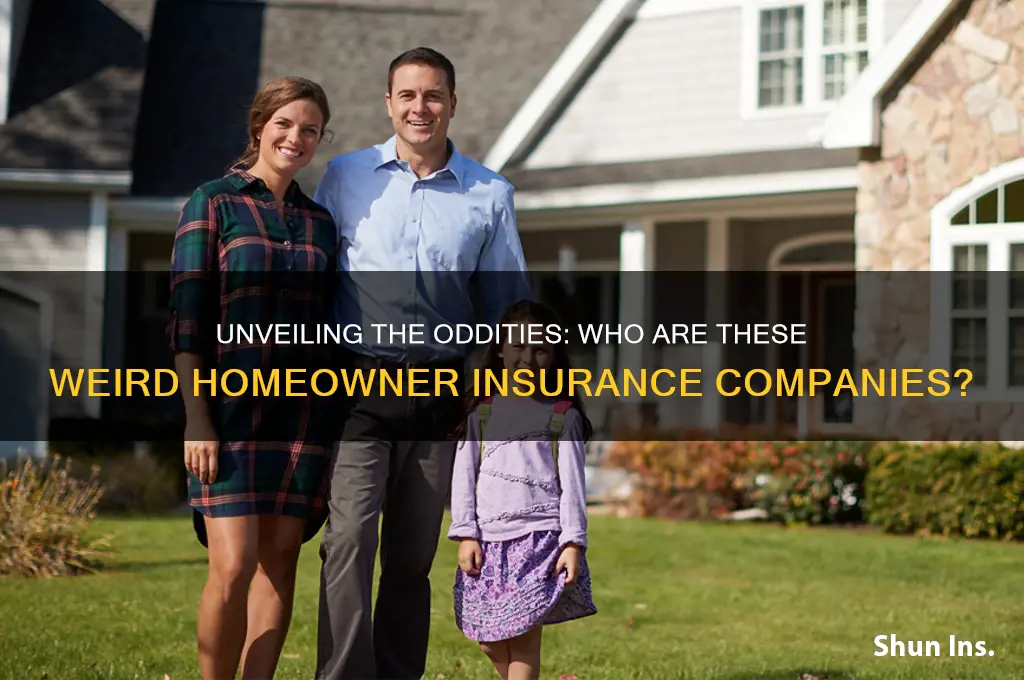 who are these weird homeowner insurance companies