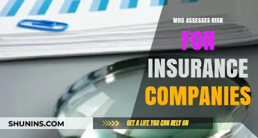 Who Evaluates Insurance Risk? Understanding the Key Players and Process