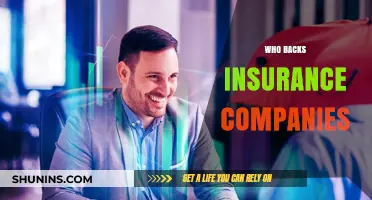 Who Backs Insurance Companies? Unveiling the Financial Support System