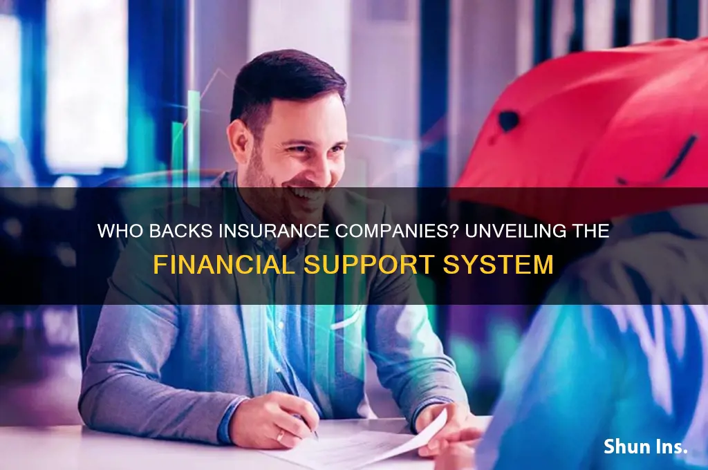 who backs insurance companies