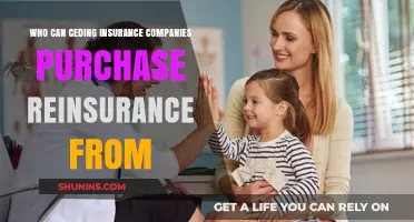 Ceding Insurers: Exploring Reinsurance Providers and Strategic Partnerships