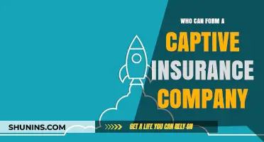 Who Can Establish a Captive Insurance Company: Eligibility and Requirements