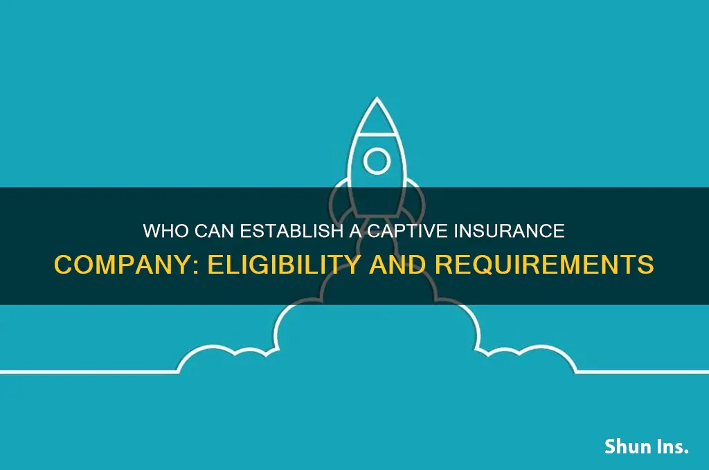 who can form a captive insurance company