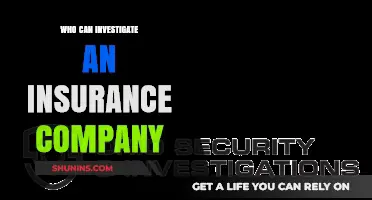 Who Investigates Insurance Companies? Understanding Regulatory Oversight and Consumer Rights