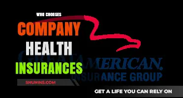 Who Decides Your Company Health Insurance Plan and Why?