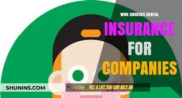 Who Decides on Dental Insurance for Companies: Key Factors and Decision-Makers