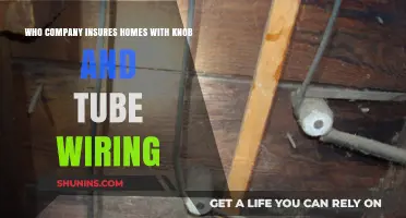 Which Insurance Companies Cover Homes with Knob and Tube Wiring?